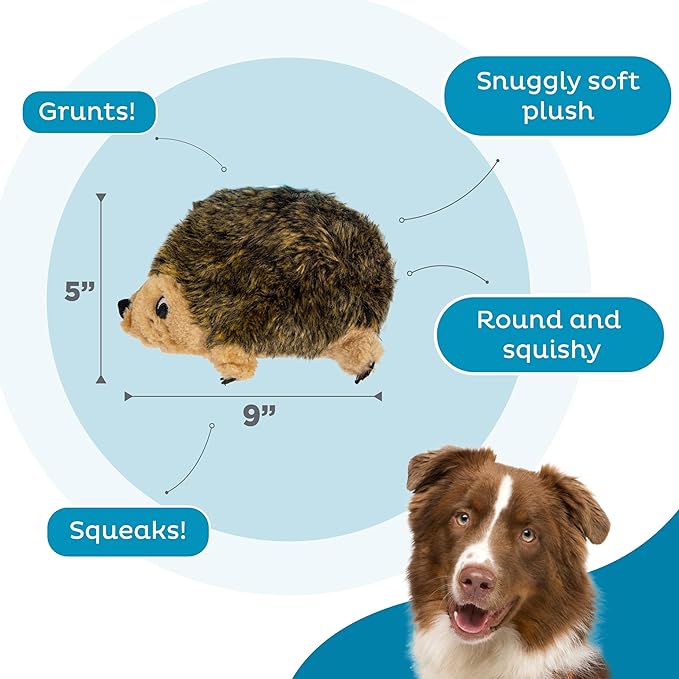 Plush Dog Toy, Medium Hedgehogz