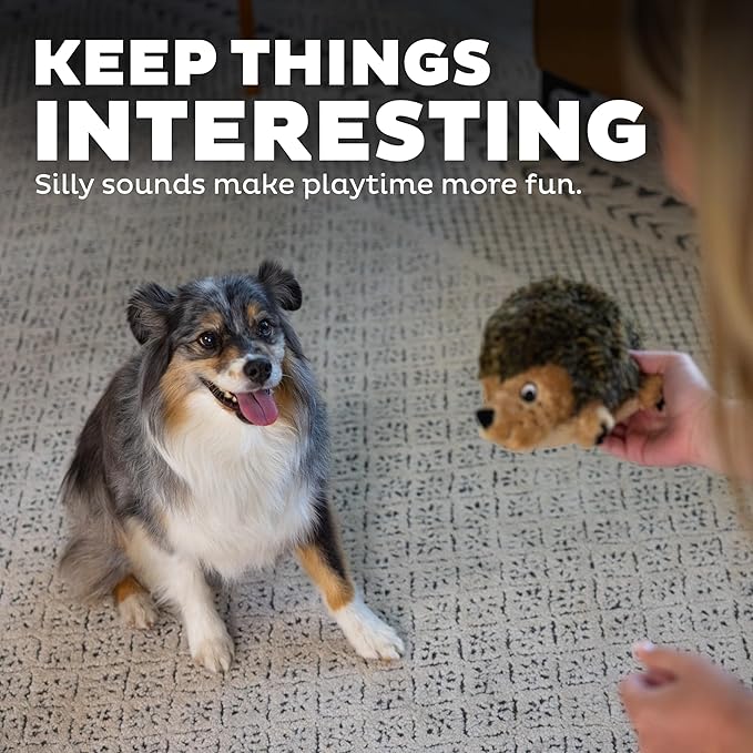 Plush Dog Toy, Medium Hedgehogz