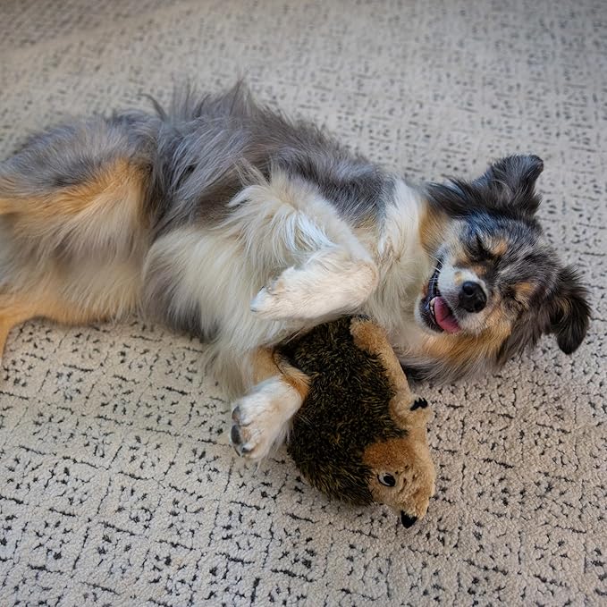 Plush Dog Toy, Medium Hedgehogz